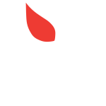 Mainly Mac Logo - Apple Authorized Dealer